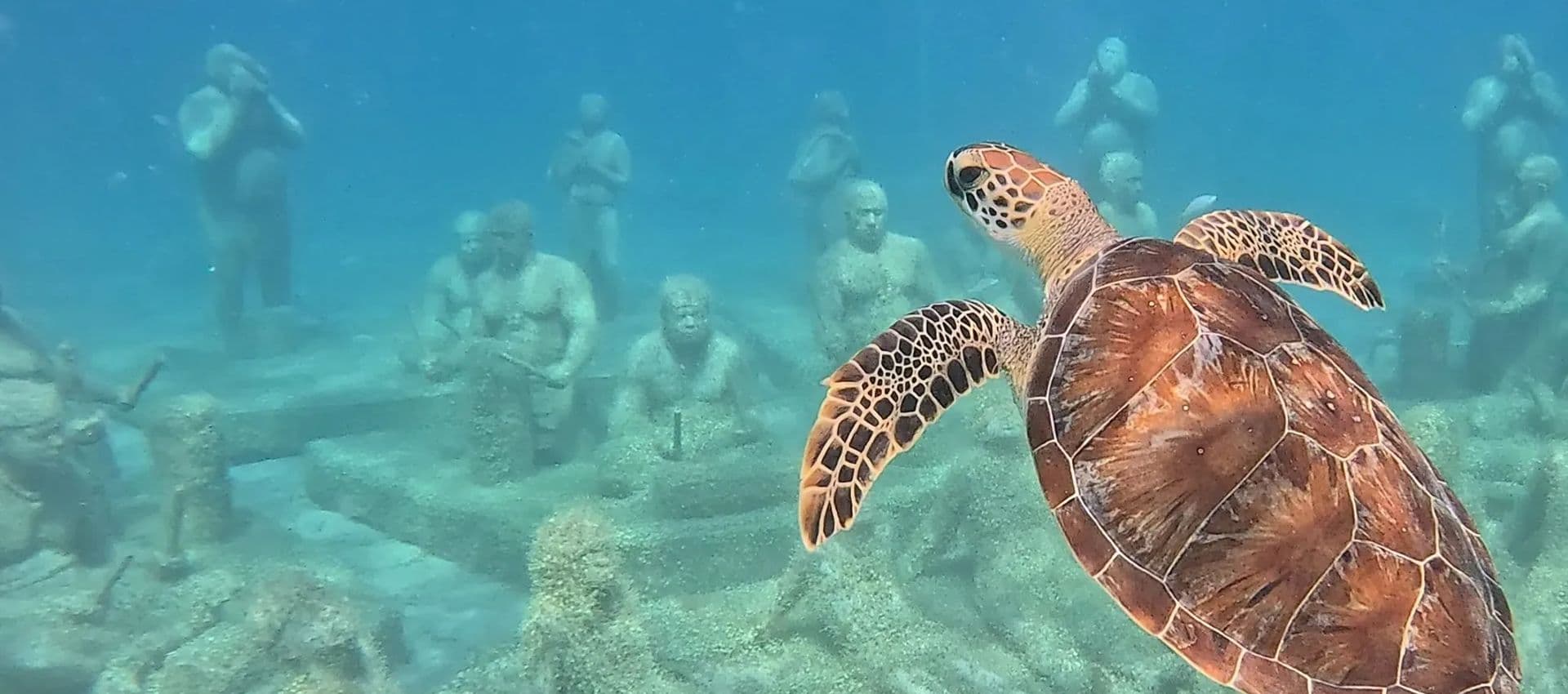Under SXM artificial reef scultures supporting marine life