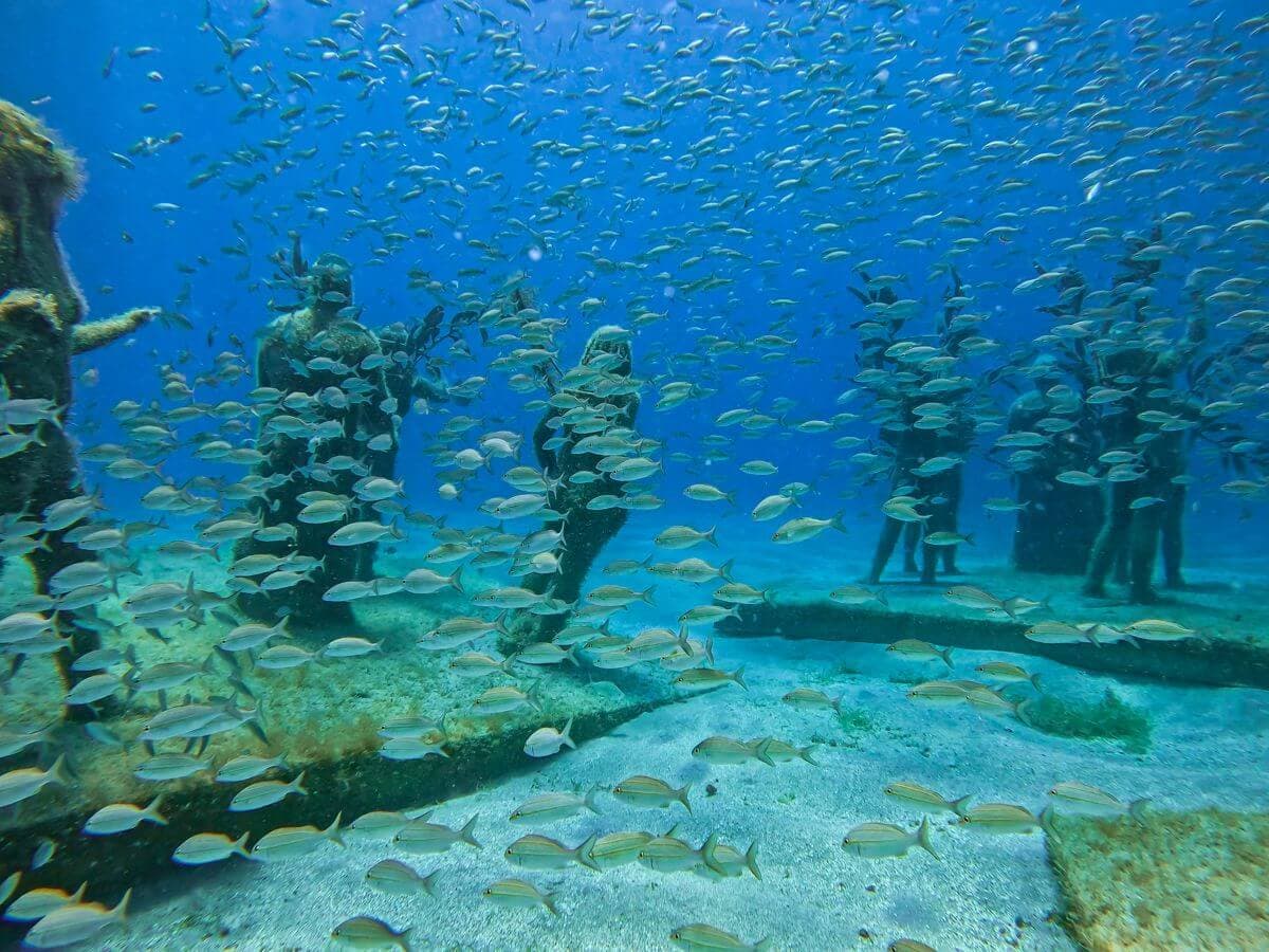 Fish swimming in Under SXM's reef sculptures